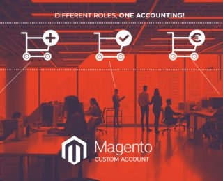 Phát triển Magento B2B theo yêu cầu với tài khoản cha/con trên Maxoutil